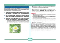 Страница 106