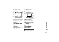 Страница 207