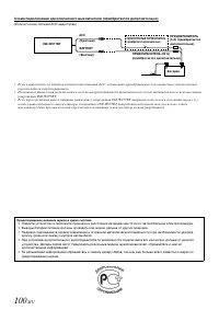 Страница 100