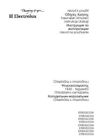 Electrolux ERB 40233 X