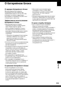 Страница 111