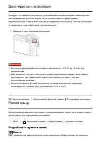 Страница 101