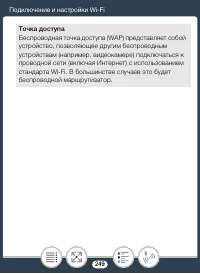 Страница 249