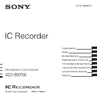 Sony ICD-BX700