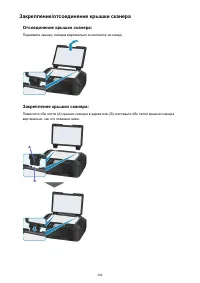 Страница 204