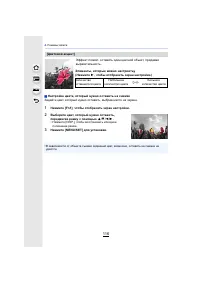 Страница 116