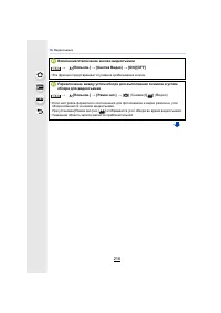 Страница 216