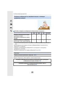 Страница 265