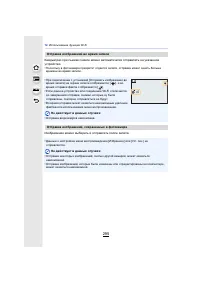 Страница 295