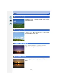 Страница 113