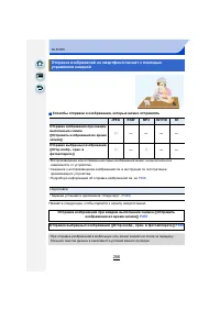 Страница 256