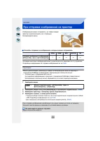 Страница 260