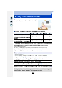 Страница 264