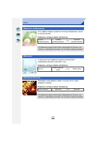 Страница 117