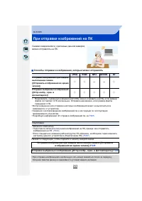 Страница 243