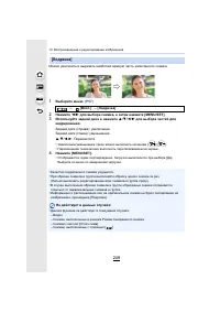 Страница 249