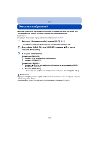 Страница 117