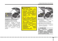 Страница 119