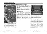 Страница 250