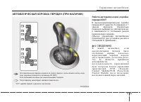 Страница 259