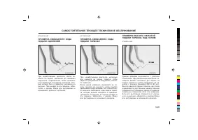 Страница 224