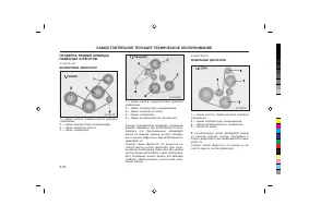 Страница 225