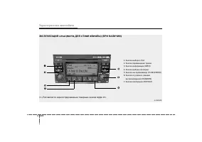 Страница 239