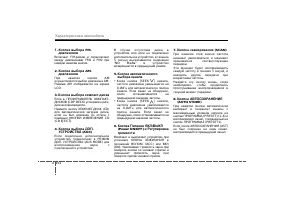 Страница 243