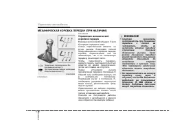 Страница 281