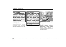 Страница 313