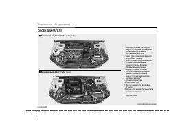 Страница 349
