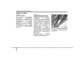 Страница 395