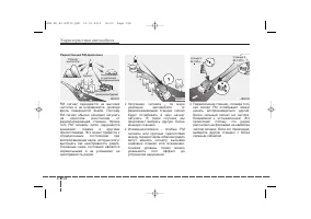 Страница 245