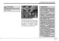 Страница 195