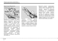 Страница 204