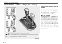 Страница 256