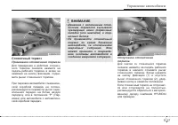 Страница 265