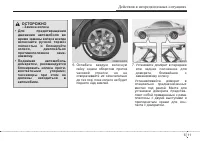 Страница 309