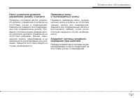 Страница 339