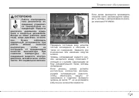 Страница 343