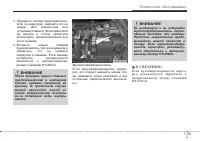 Страница 383