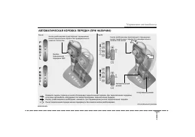 Страница 207