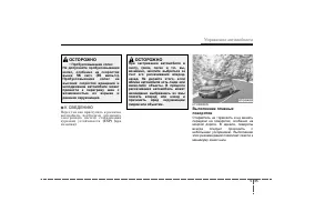 Страница 231