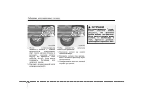 Страница 260