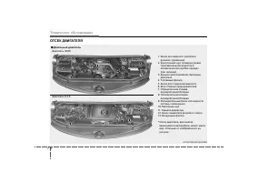 Страница 272