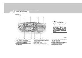 Страница 220