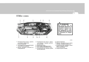 Страница 221