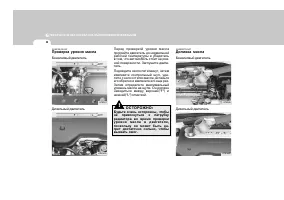 Страница 226