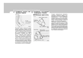 Страница 242