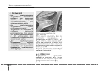 Страница 196